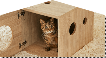猫家具でニャンダフルな暮らし | 【公式】LOWYA(ロウヤ) 家具 猫家具でニャンダフルな暮らし | 【公式】LOWYA(ロウヤ) 家具