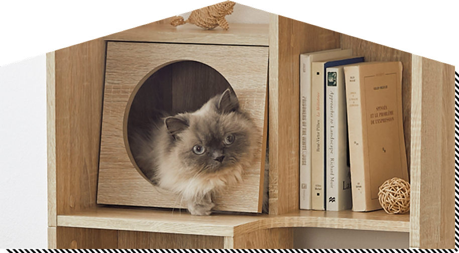 猫家具でニャンダフルな暮らし 公式 Lowya ロウヤ 家具 インテリアのオンライン通販 猫家具でニャンダフルな暮らし 公式 Lowya ロウヤ 家具 インテリアのオンライン通販