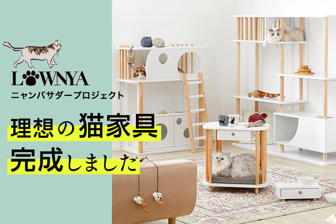 猫家具でニャンダフルな暮らし  【公式】LOWYA(ロウヤ) 家具 