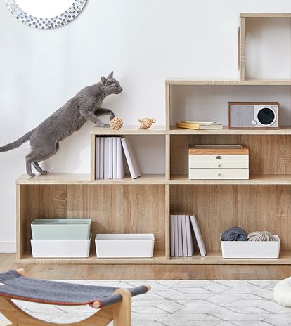 猫家具でニャンダフルな暮らし | 【公式】LOWYA(ロウヤ) 家具  