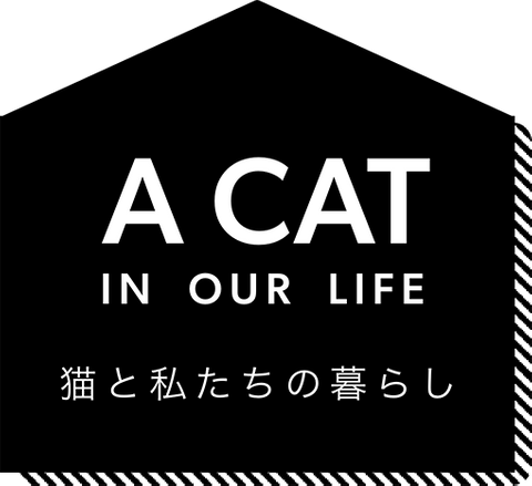 猫家具でニャンダフルな暮らし 公式 Lowya ロウヤ 家具 インテリアのオンライン通販