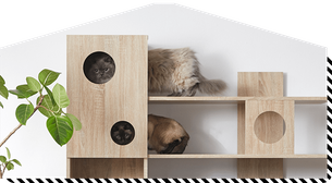猫家具でニャンダフルな暮らし 公式 Lowya ロウヤ 家具 インテリアのオンライン通販 猫家具でニャンダフルな暮らし 公式 Lowya ロウヤ 家具 インテリアのオンライン通販