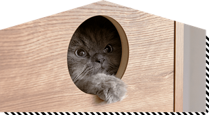 猫家具でニャンダフルな暮らし 公式 Lowya ロウヤ 家具 インテリアのオンライン通販 猫家具でニャンダフルな暮らし 公式 Lowya ロウヤ 家具 インテリアのオンライン通販