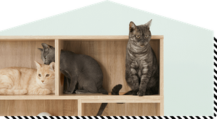 猫家具でニャンダフルな暮らし 公式 Lowya ロウヤ 家具 インテリアのオンライン通販