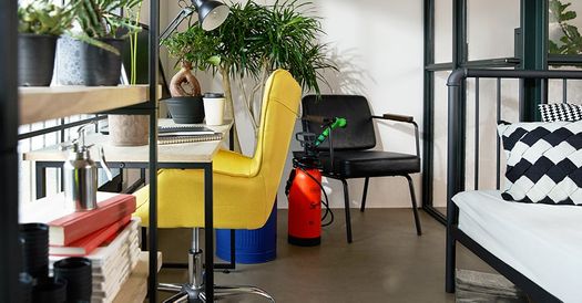 おうち時間充実 植物 ビタミンカラーの書斎兼寝室ルームツアー レイアウト 公式 Lowya ロウヤ 家具 インテリアのオンライン通販