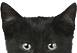 理想の猫家具作るにゃん Lowya Nyans ニャンバサダー 公式 Lowya ロウヤ 家具 インテリアのオンライン通販 理想の猫家具作るにゃん Lowya Nyans ニャンバサダー 公式 Lowya ロウヤ 家具 インテリアのオンライン通販