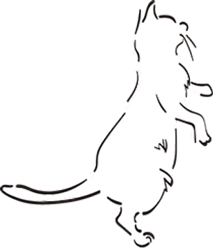 理想の猫家具作るにゃん Lowya Nyans ニャンバサダー 公式 Lowya ロウヤ 家具 インテリアのオンライン通販