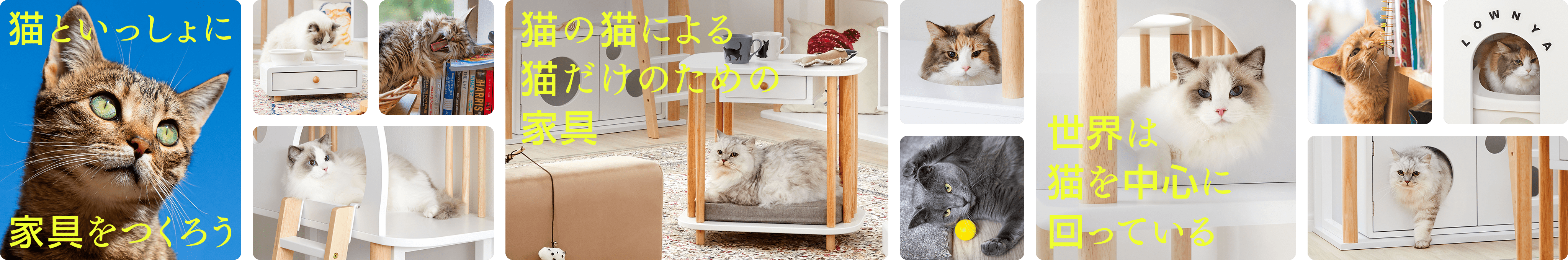 猫の日】理想の猫家具を販売開始 | 【公式】LOWYA(ロウヤ) 家具