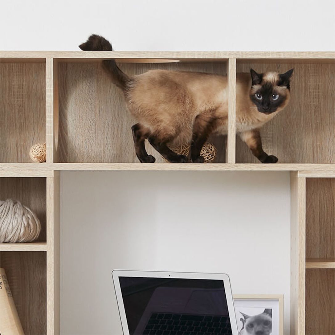 パソコンデスク キャットウォーク付き 壁面収納一体型 リバーシブル 木製 幅1 公式 Lowya ロウヤ 家具 インテリアのオンライン通販