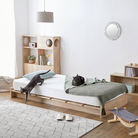 おしゃれでおすすめのローベッドが1万円台から 公式 Lowya ロウヤ 家具 インテリアのオンライン通販