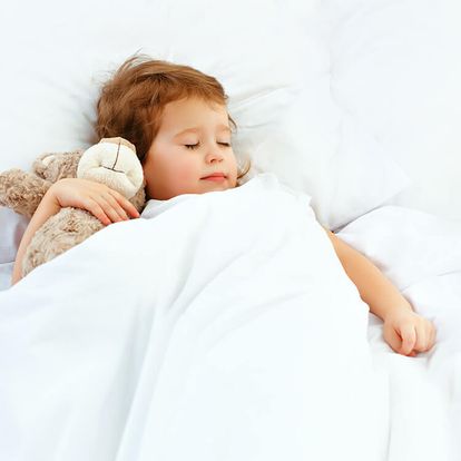 お昼寝布団セット（ゾウ/カバ）京都西川 綿100％ | 【公式】LOWYA  