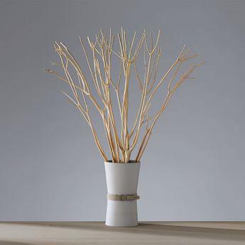 アロマブランチ＆TOKONAMEベースセット アットアロマ | 【公式】LOWYA