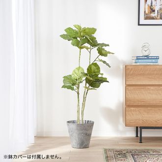 フィッカス・ウンベラータ　テーブルサイズ　インテリアポット入り　T20 フィカス ウンベラータ | 観葉植物通販 HitoHana