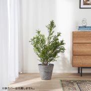 WORC 140 Partition 木製パーテーション UP TOWN FURNITURE | 【公式