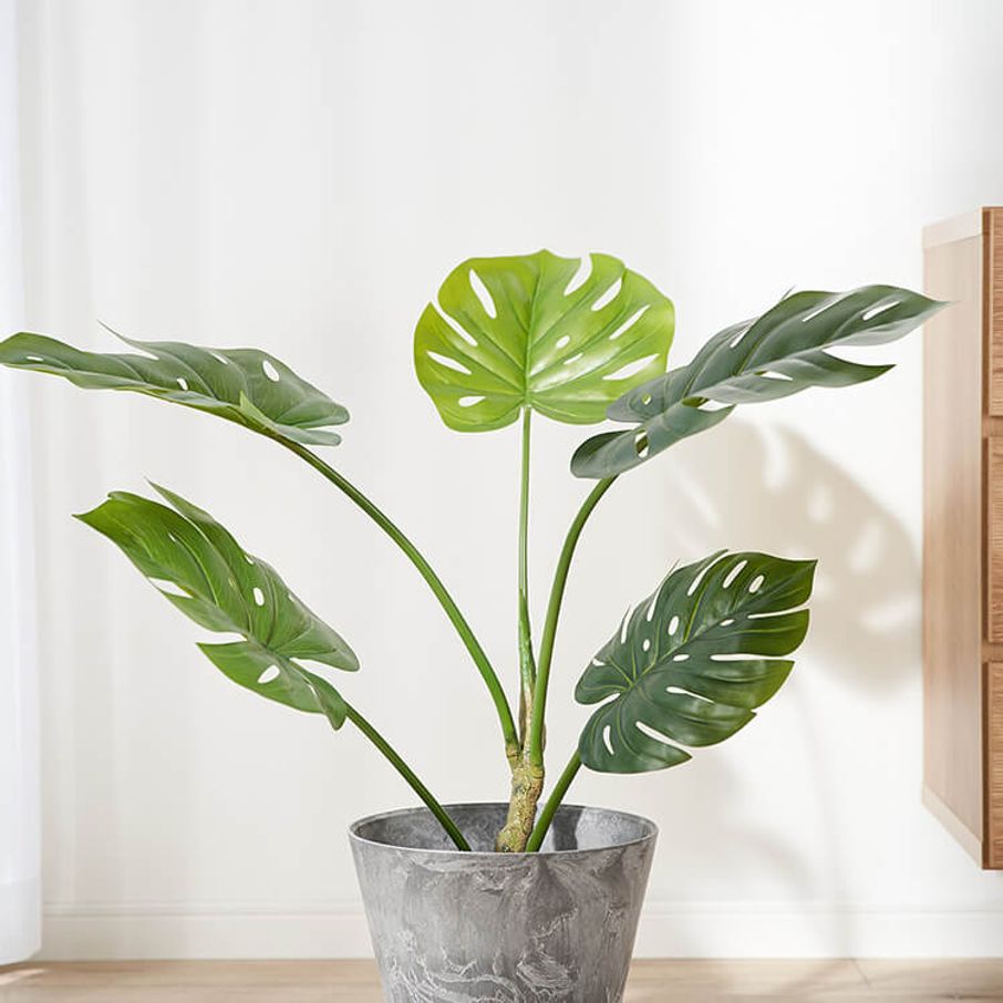 モンステラポット 観葉植物 公式 Lowya ロウヤ 家具 インテリアのオンライン通販