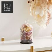 Côté jardin ドライフラワー ガラスドーム(小) [ワントーン Côté jardin ドライフラワー ガラスドーム(小) [ワントーン