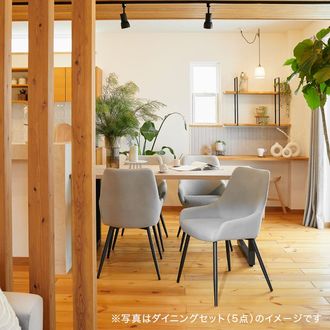 ダイニングチェア 2脚セット スチール脚 [幅53] | 【公式】LOWYA