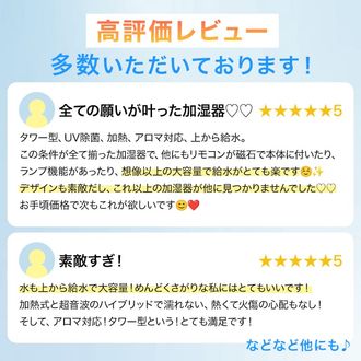 パンタナル / 加湿器 | [11L] ハイブリッド式加湿器 大容量 UV除菌