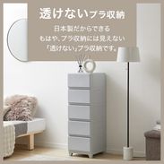 デコニーシーヴォ / 衣装ケース (幅34・3/5段) | 日本製 選べる2サイズ