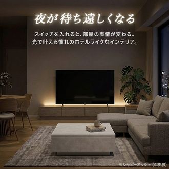 トゥーロン / テレビ台 (幅200〜・5サイズ) | [50V型対応] 日本製 LED