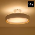 シーブラン / シーリングライト | [14畳] アッパーライト付き LED内蔵