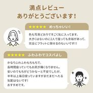 ソフィ / 2人掛け座椅子 | [幅137] ポケットコイル【完成品】|フロア
