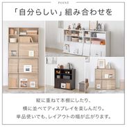 ディスプレイラック2個セット フラップ扉付きで見せる収納