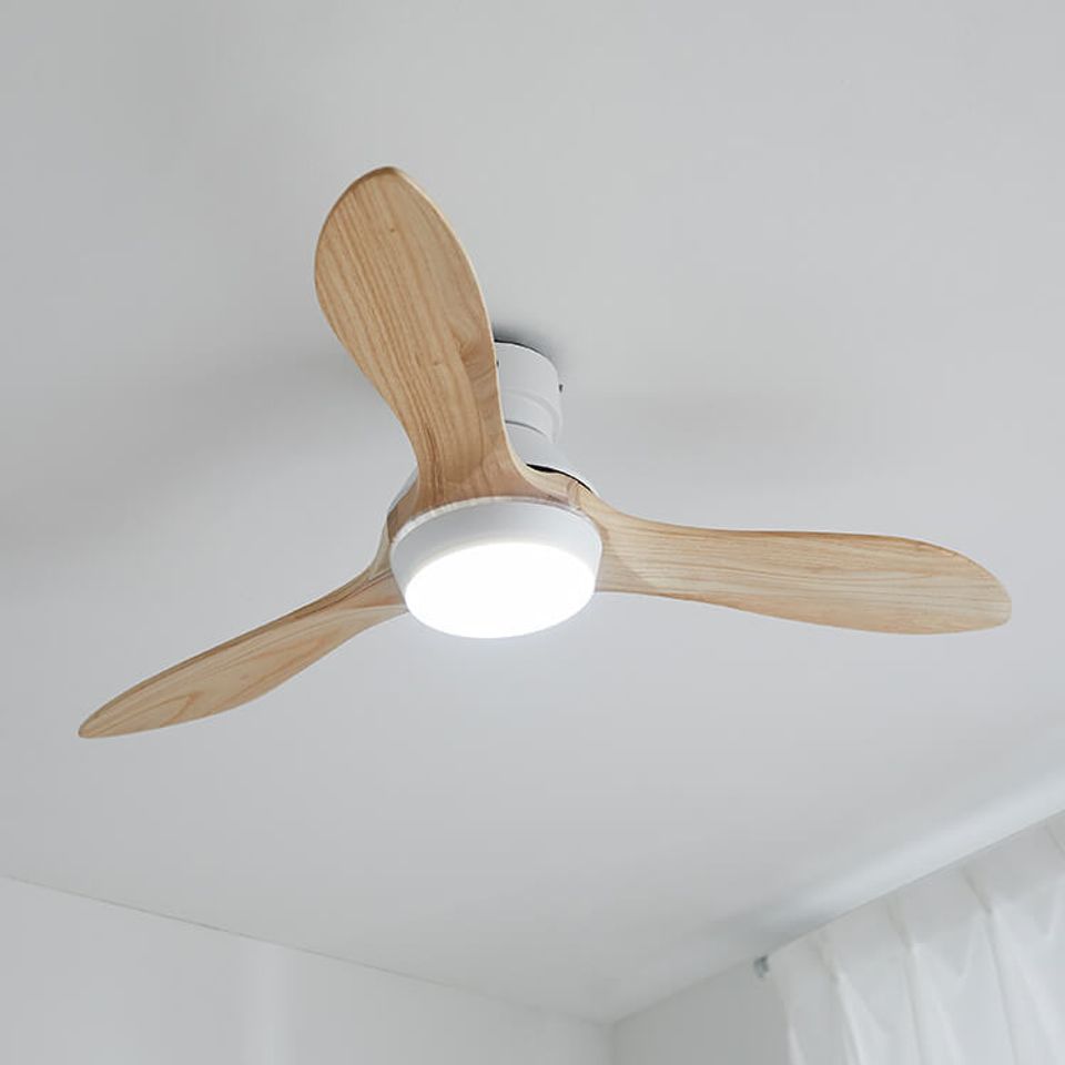 [1灯] シーリングファンライト 天井照明 LED対応 リモコン付き 天然 