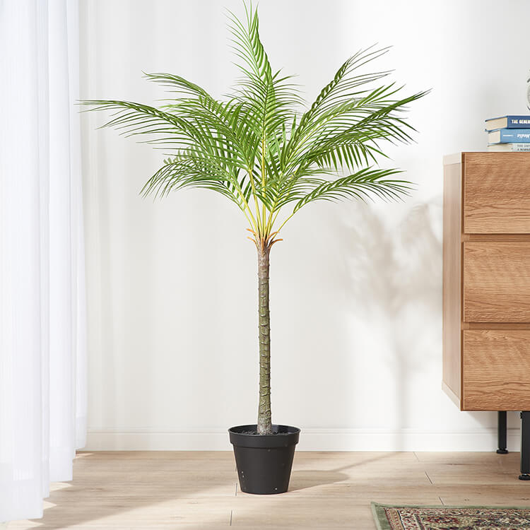 フェニックスパームポット 観葉植物 | 【公式】LOWYA(ロウヤ) 家具